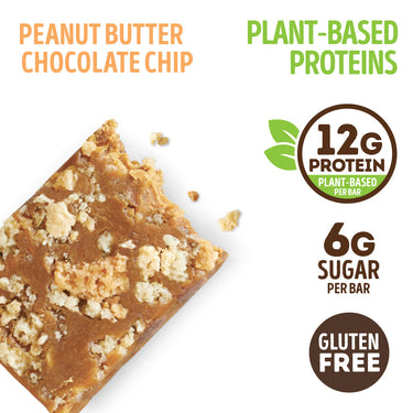Peanut Butter Chocolate Chip - Box of 9